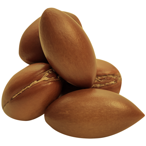 Image icon