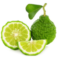 Image icon