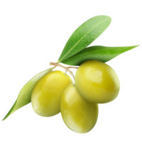 Image icon