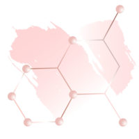 Image icon