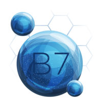Image icon