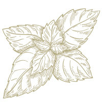 Image icon