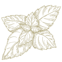 Image icon