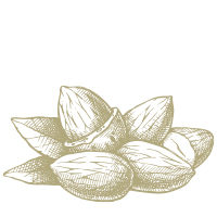 Image icon