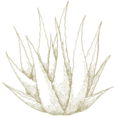 Image icon