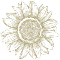 Image icon