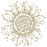 Image icon
