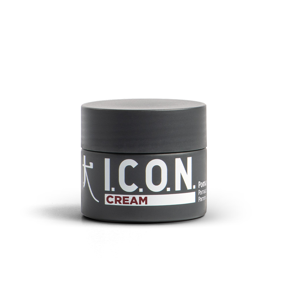 Image icon