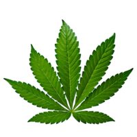 Image icon