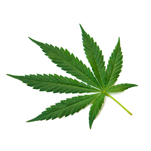 Image icon