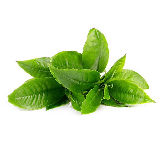 Image icon