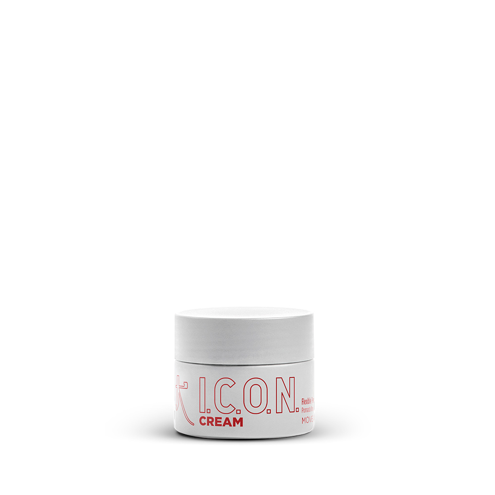 Image icon