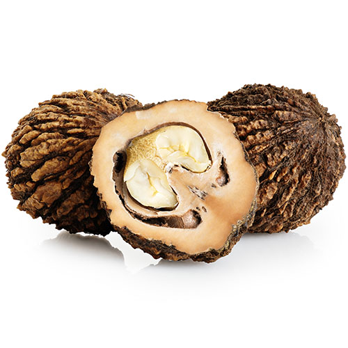 Image icon